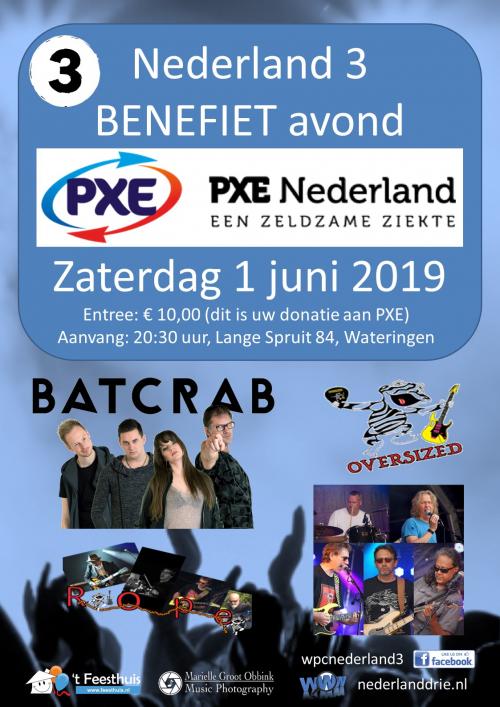 PXE (een zeldzame ziekte) benefiet (foto's copyright Marielle's Concert and Event Photography en Nederland Drie)